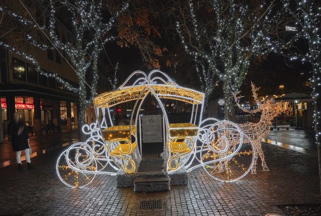 carrozza area selfie luminosa