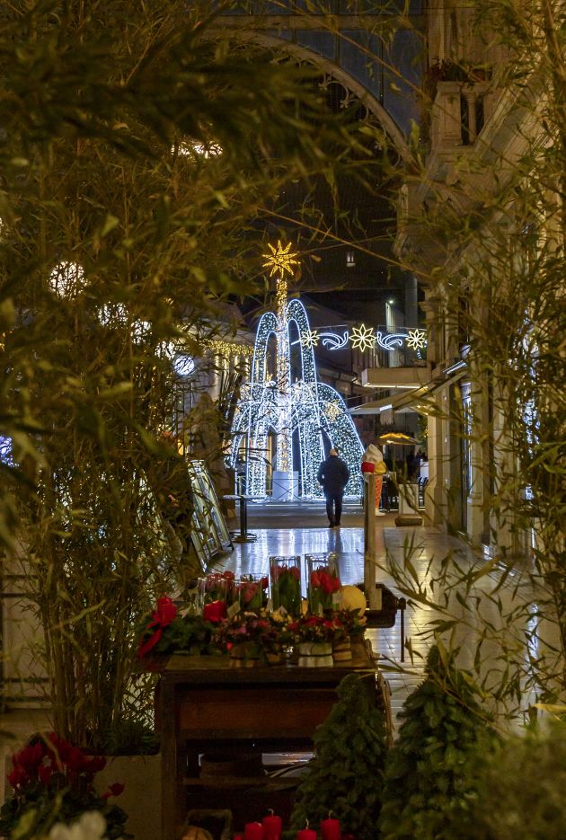 albero di natale in piazza san marco a venezia