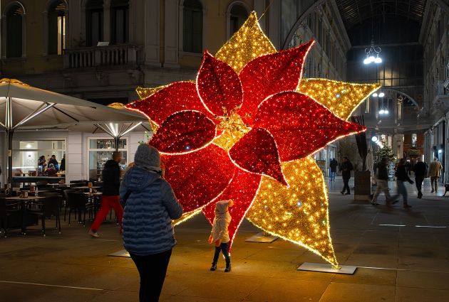 postazione selfie luminosa fiore