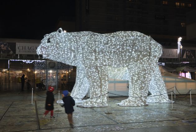 area selfie orso bianco