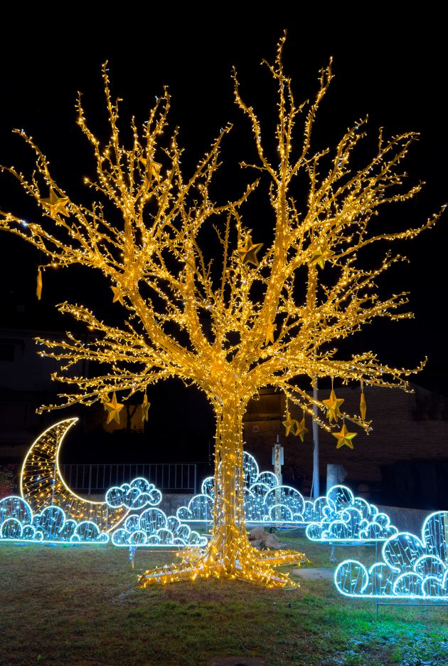 installazione luminosa albero