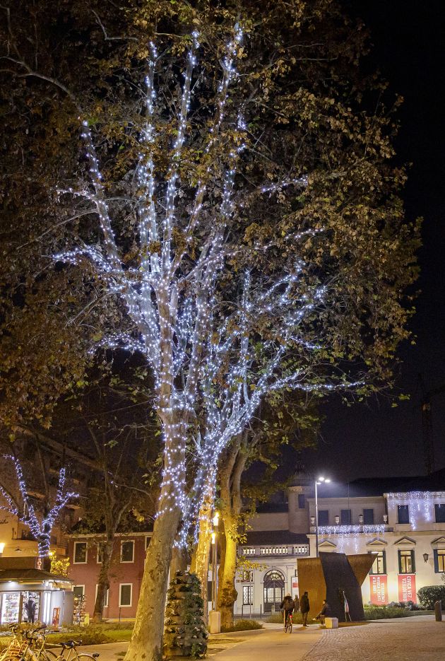 albero luminoso